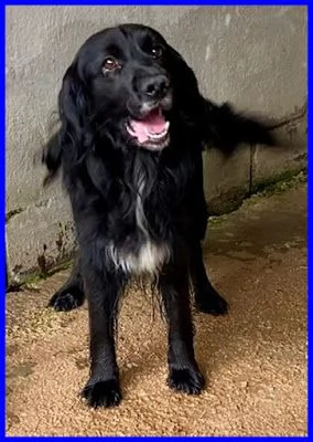 ROC 8anni circa abbandonato