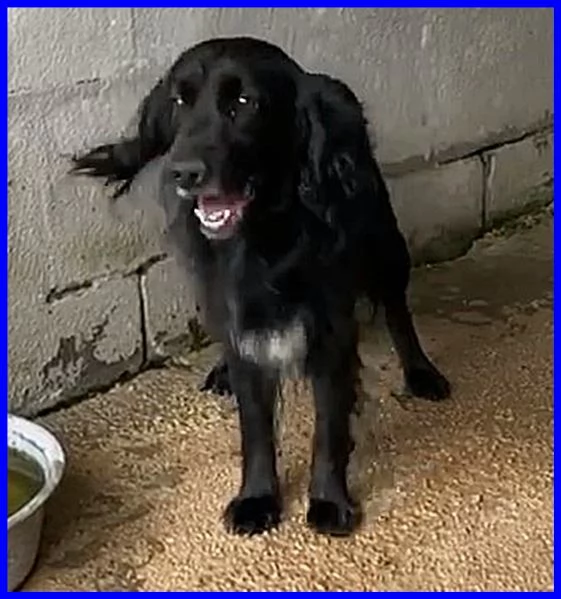 ROC 8anni circa abbandonato | Foto 2