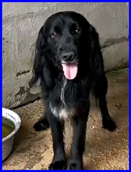 ROC 8anni circa abbandonato | Foto 0