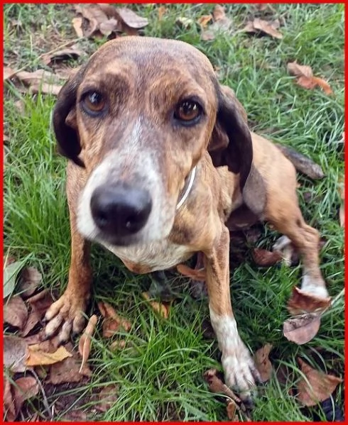 SVITOL 5anni dolcissima e vivace | Foto 2