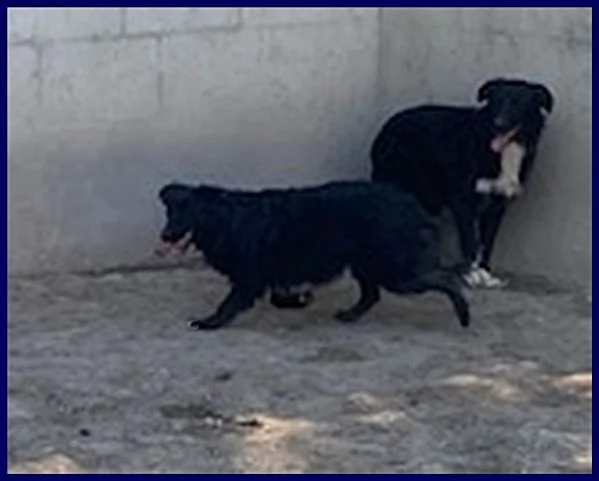 SABRINA 34anni una timidina | Foto 4