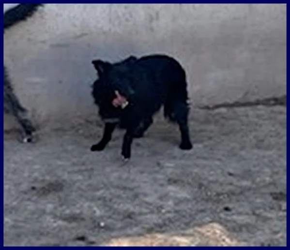 SABRINA 34anni una timidina