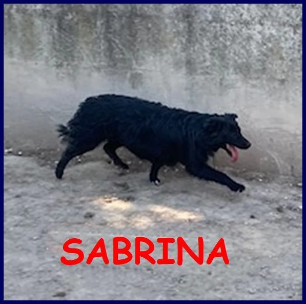 SABRINA 34anni una timidina | Foto 3