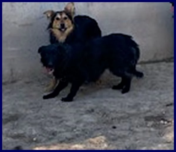 SABRINA 34anni una timidina | Foto 2