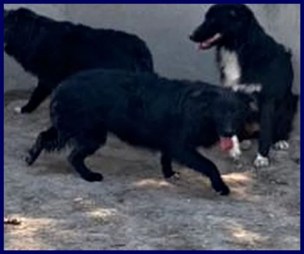 SABRINA 34anni una timidina | Foto 1