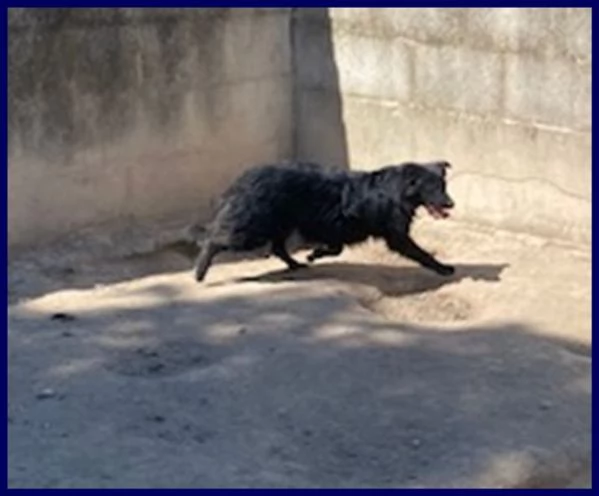 SABRINA 34anni una timidina | Foto 0