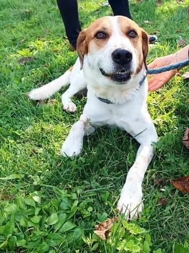 TOMMY tanto bravoDeve finalmente trovare pace | Foto 3