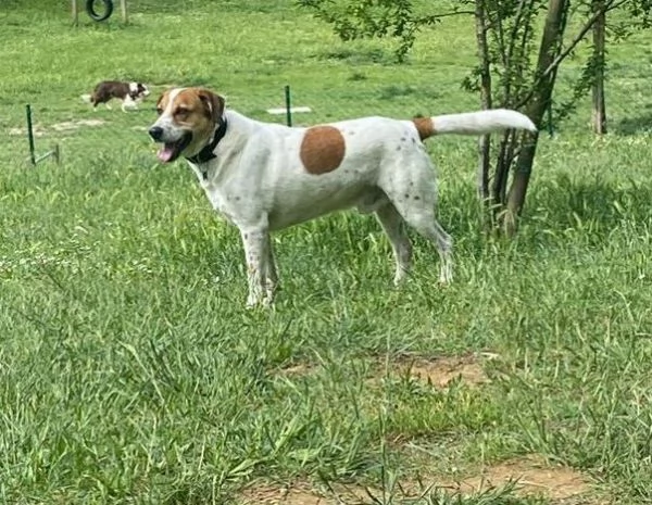 TOMMY tanto bravoDeve finalmente trovare pace