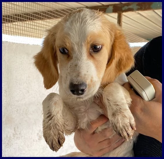 MIAMI sui 34anni tg mediopiccola   | Foto 0