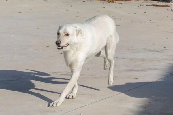 il sorriso di susi | Foto 4