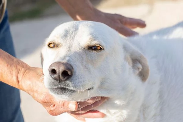 il sorriso di susi | Foto 1