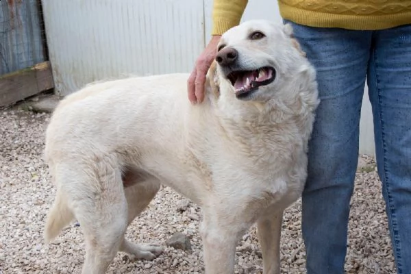 il sorriso di susi | Foto 0