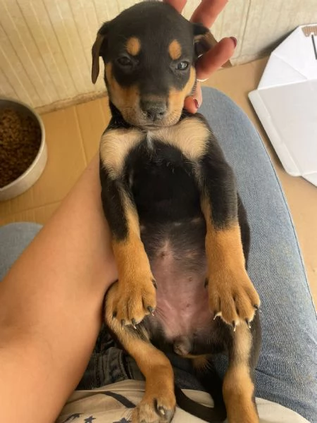 LOUSIANA | Foto 4