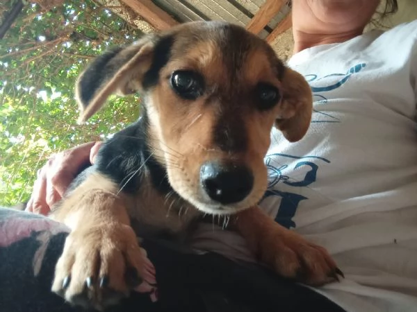 ROMEO E GIULIETTA | Foto 3