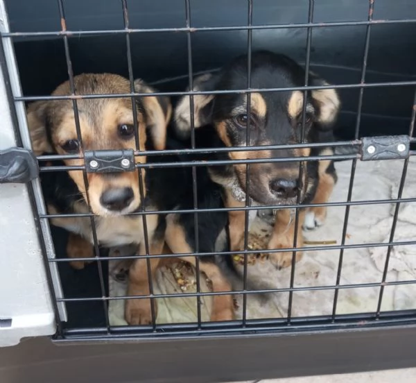 ROMEO E GIULIETTA | Foto 2