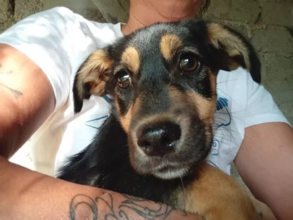 ROMEO E GIULIETTA