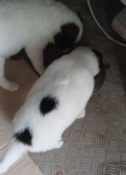 JAKY E NUKA | Foto 0