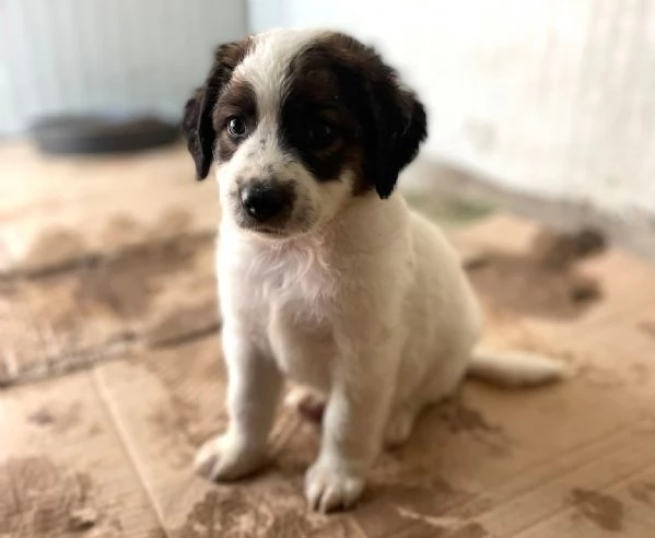 JACKY TAKO NUKA | Foto 4