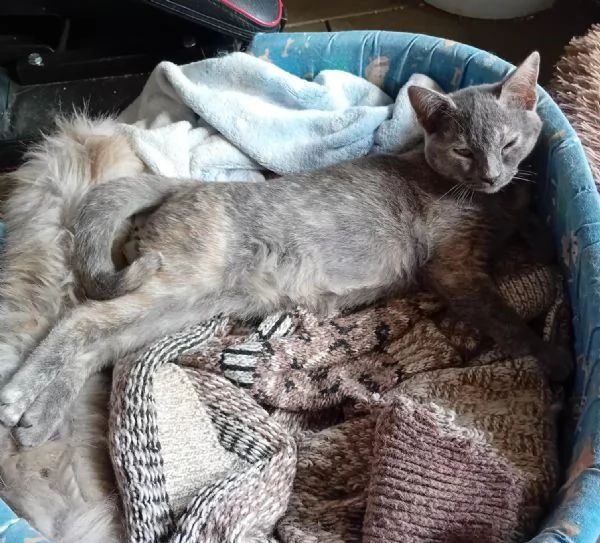 LA DOLCISSIMA TEMPESTA | Foto 4