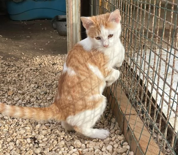 KANGA E POOH | Foto 6