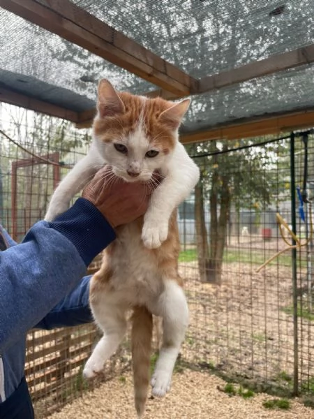 KANGA E POOH | Foto 5