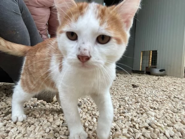 KANGA E POOH | Foto 2