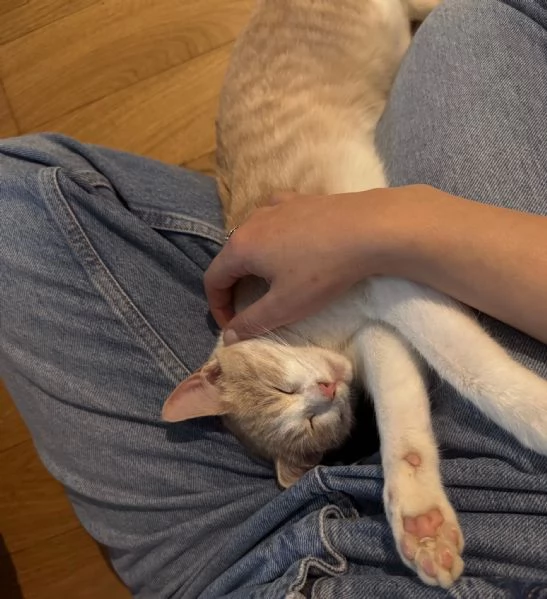 LA BELLISSIMA PIMPI | Foto 6