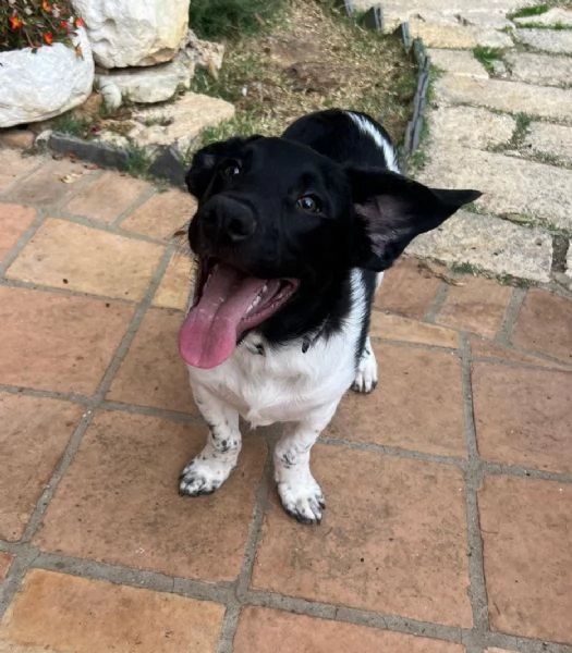 TENERI FRATELLINI DA AMARE | Foto 1