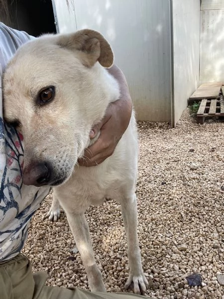 LA TENERISSIMA SUSY | Foto 1