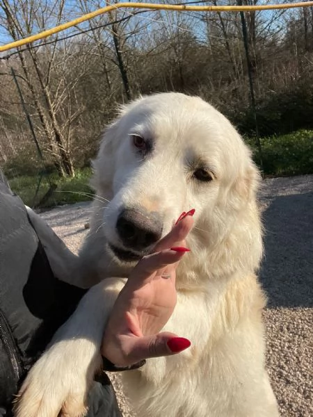 TENERISSIMA NUVOLETTA BIANCA | Foto 3