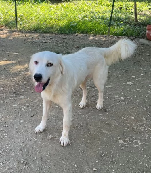 TENERISSIMA NUVOLETTA BIANCA | Foto 2