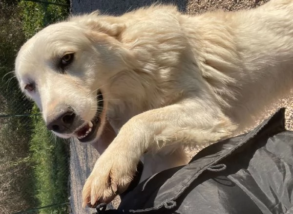 TENERISSIMA NUVOLETTA BIANCA