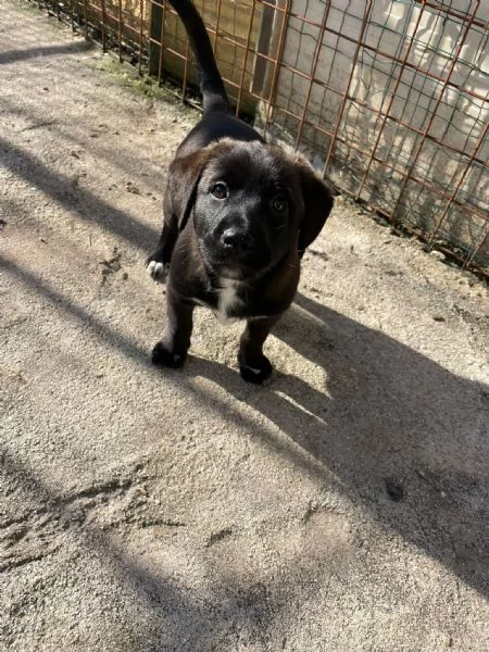 LO SPLENDIDO MAX | Foto 3