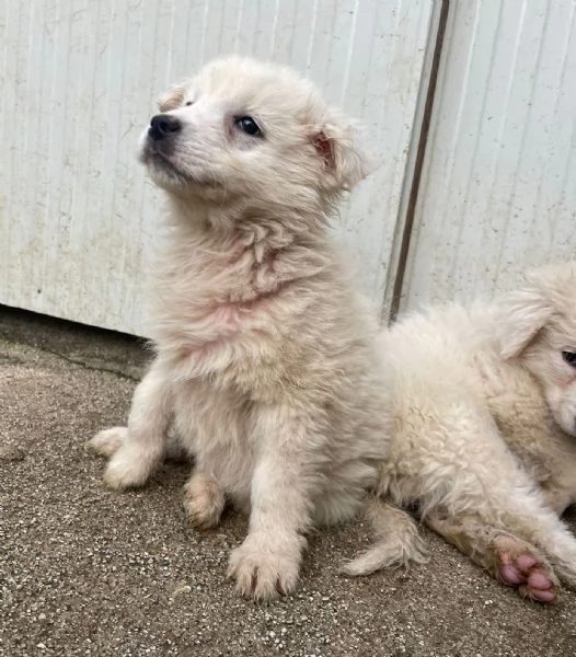 FREYA E RUNA | Foto 5