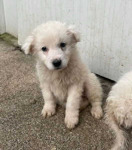 FREYA E RUNA | Foto 6