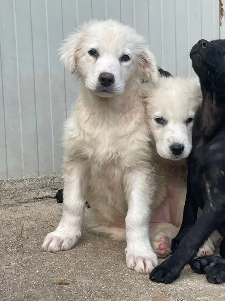 FREYA E RUNA | Foto 3