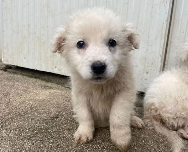 FREYA E RUNA | Foto 2