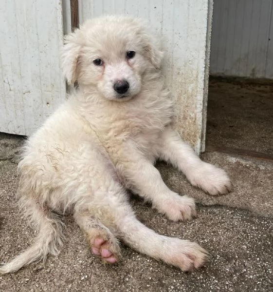 FREYA E RUNA | Foto 1