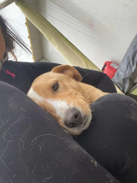 OLIVER ASPETTA TE | Foto 2