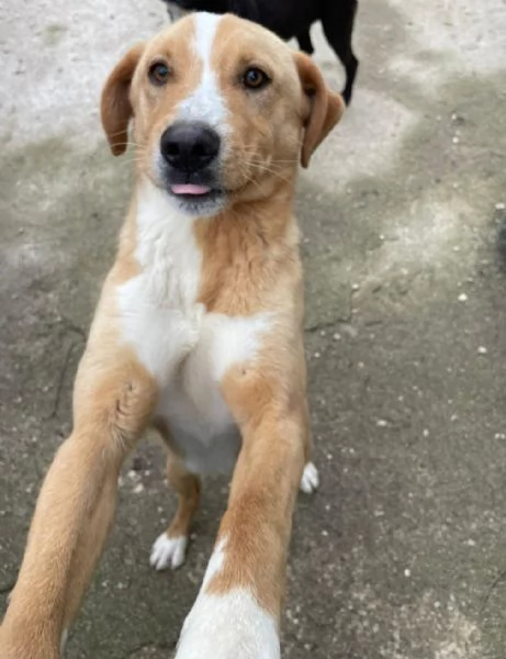 OLIVER ASPETTA TE | Foto 0