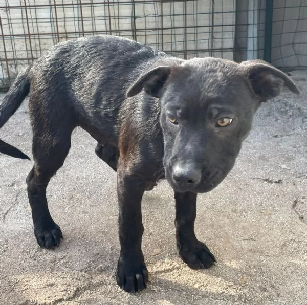 il tenero SIMON | Foto 5