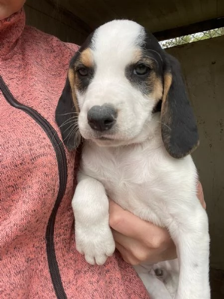 LA DOLCE SELENE | Foto 2