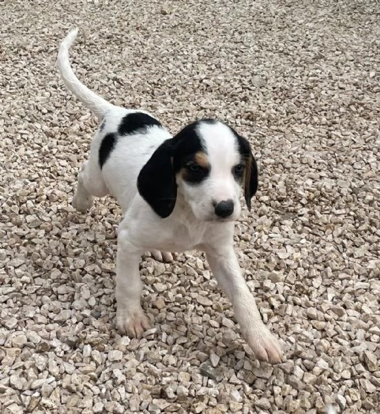 LA DOLCE SELENE | Foto 1