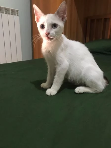 Carlotta