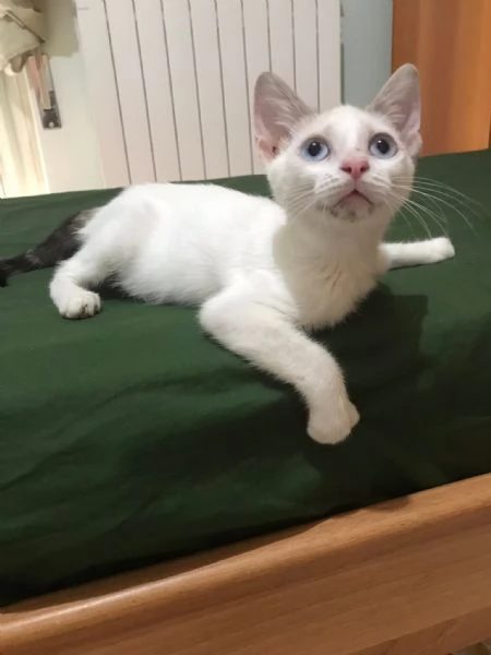 Carlotta  | Foto 0