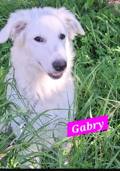 Gabry 10mesi bellissimapossibile nessuno la notiSICILIA | Foto 3