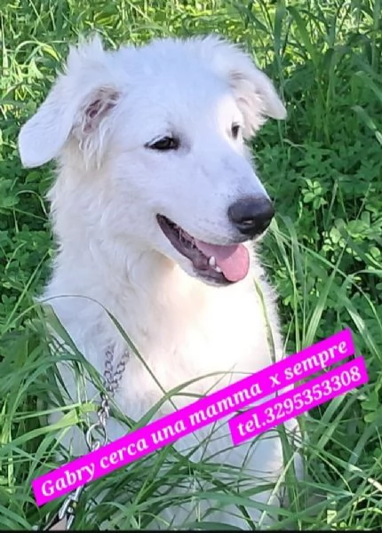 Gabry 10mesi bellissimapossibile nessuno la notiSICILIA | Foto 0