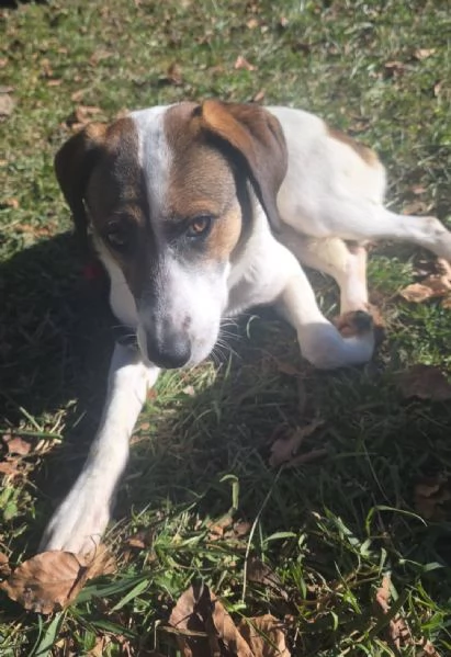 Mackyfemmina15mesitg media BERGAMO