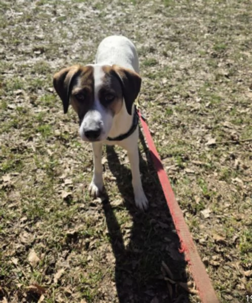 Mackyfemmina15mesitg media BERGAMO | Foto 2