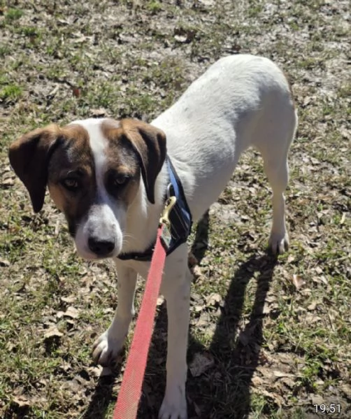 Mackyfemmina15mesitg media BERGAMO | Foto 0